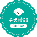 子犬情報